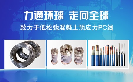 力通环球 展示图