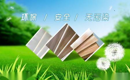 夏杉XIASHAN 展示图