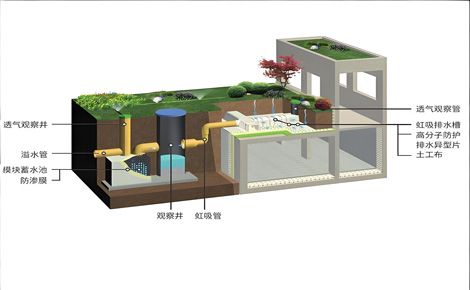 沪望 展示图