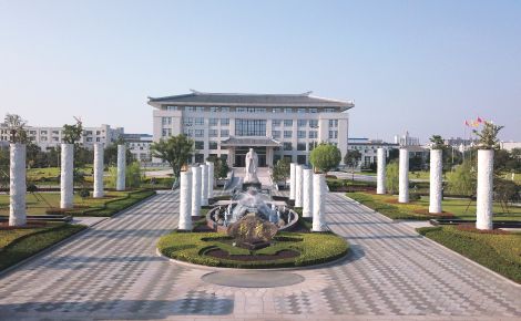 杨艺集团 展示图