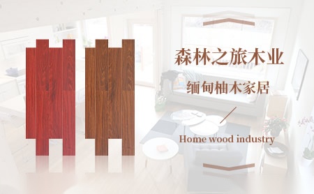 森林之旅 展示图