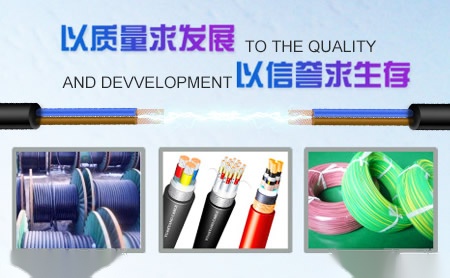 交联XLPE 展示图