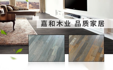 嘉和 展示图