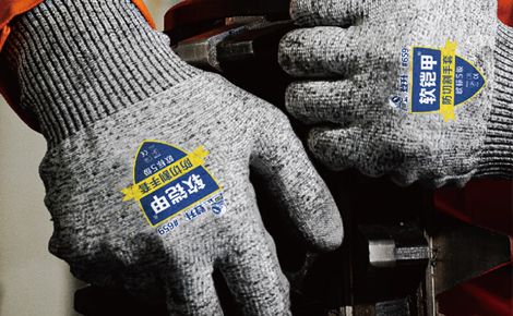 DS登升 展示图