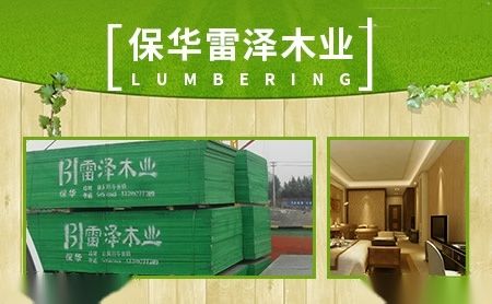 保华BAOHUA 展示图