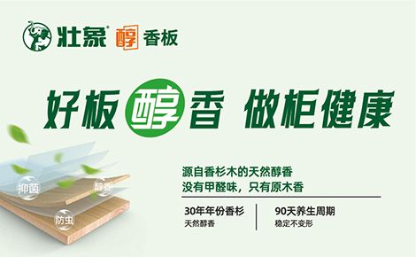 壮象 展示图