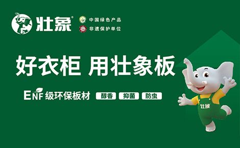 壮象 展示图