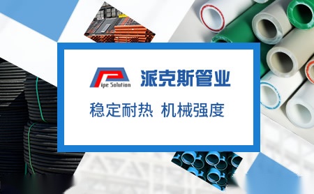 派克斯PipeSolution 展示图