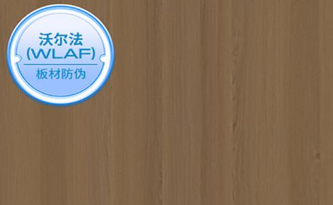 沃尔法 展示图