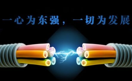 东强 展示图