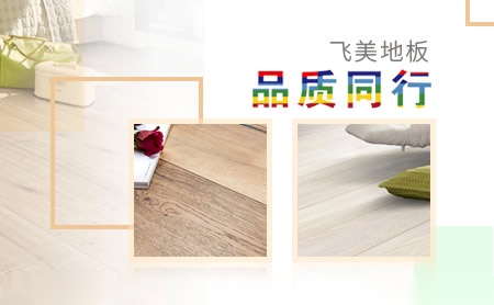 飞美地板 展示图
