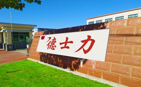 德士力 展示图