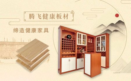 腾飞 展示图