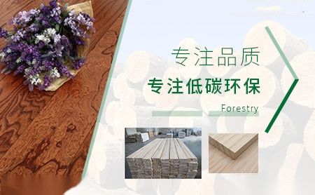 盛世唐朝SHENGSHITANGCHAO 展示图