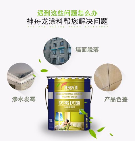 神舟龙 展示图