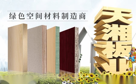 天湘TEEHOME 展示图