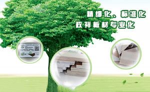 政祥 展示图