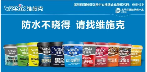 维施克 展示图