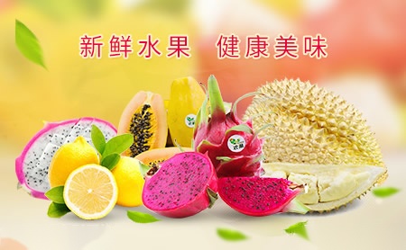 鑫盼盼 展示图