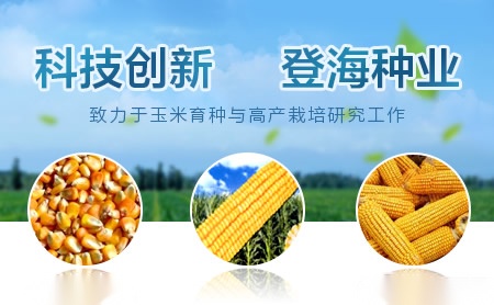 奥的亮OPTILED 展示图