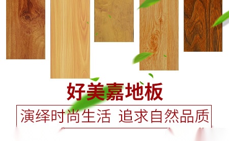 好美嘉 展示图