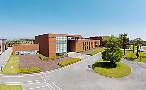 Bucalu贝克洛 展示图