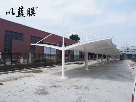 以蓝膜 展示图