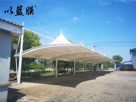 以蓝膜 展示图