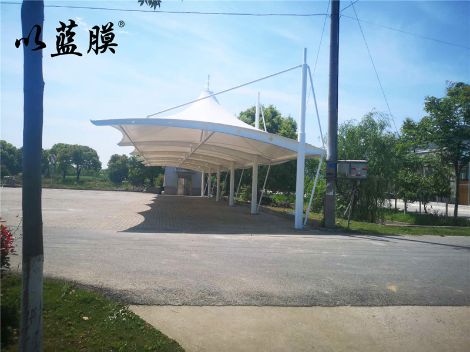 以蓝膜 展示图