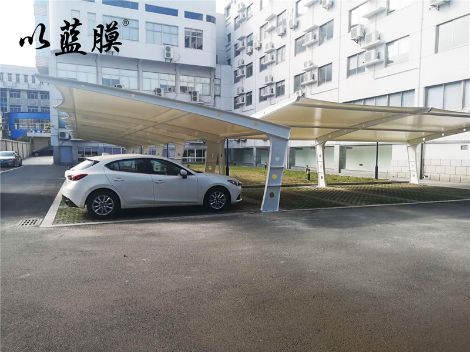 以蓝膜 展示图