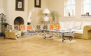 森豪仕SENKING 展示图