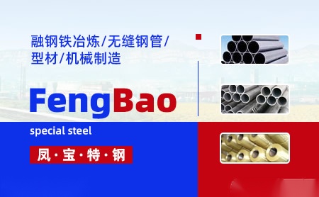 凤宝FengBao 展示图