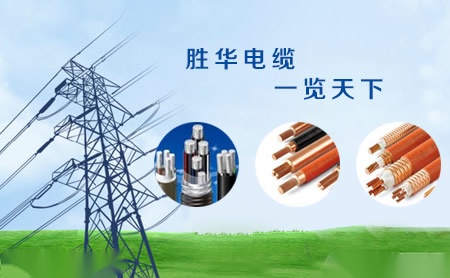 新昕 展示图