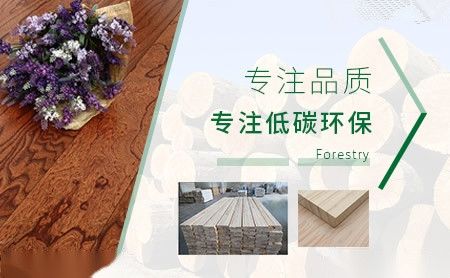龙达 展示图