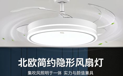 TCL华瑞照明 展示图