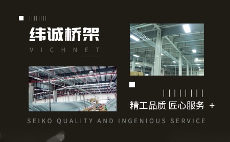 纬诚Vichnet 展示图