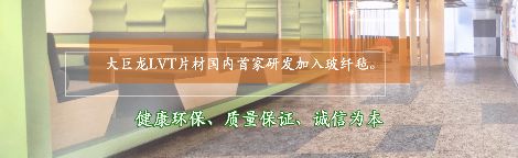 大巨龙dajulong 展示图