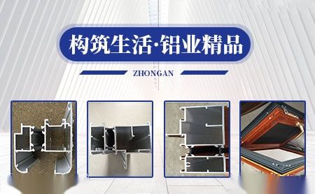 中安ZHONGAN 展示图