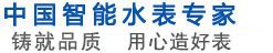 顺水水表 展示图