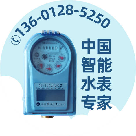 顺水水表 展示图