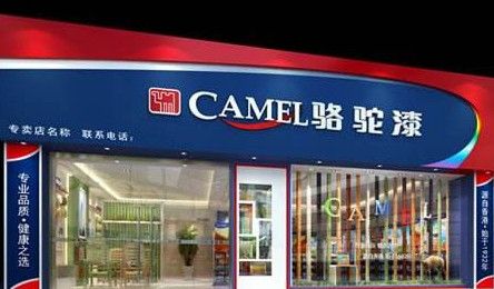 骆驼漆CAMEL 展示图