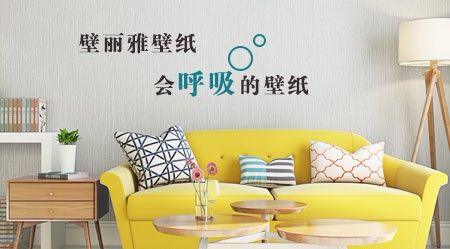 壁丽雅 展示图