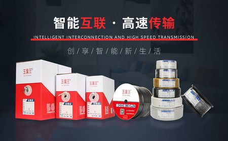 玉葉王 展示图