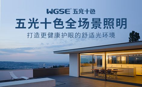 WGSE五光十色 展示图