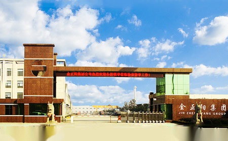 金正阳 展示图