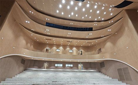 合姿 展示图