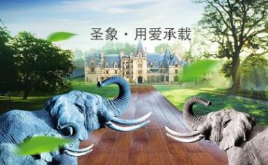 圣象地板 展示图
