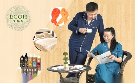 生态家ECOH 展示图