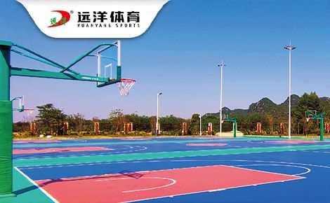 远洋体育 展示图