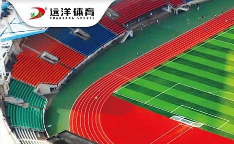 远洋体育 展示图
